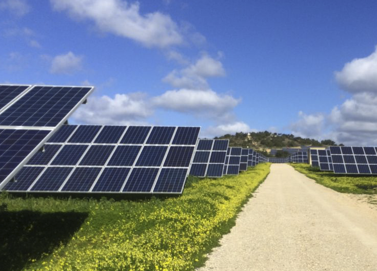 Agrovoltaicos, a combinação perfeita para o verdadeiro boom da energia solar – pv magazine Spain